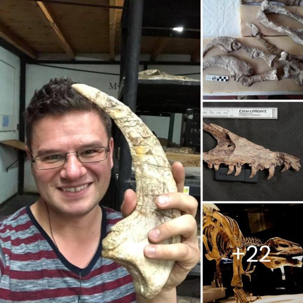 Unveiling Argentina’s Staggering Dinosaur Discovery: A Palaeontological 