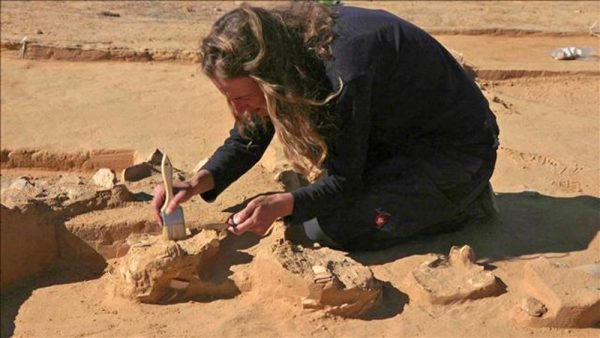 Ancient Ostrich Eggs Dating Back 4,000 Years Unearthed Near Excavated Negev Desert Firepit – PaintxWiki