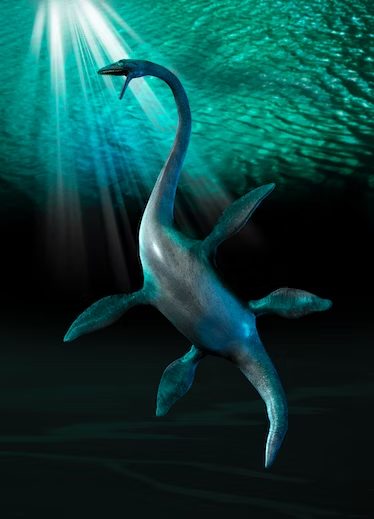 Ancient ‘Loch Ness Monster’ Fossil from 3 Million Years Ago Shows Signs of Jaw Arthritis – PaintxWiki