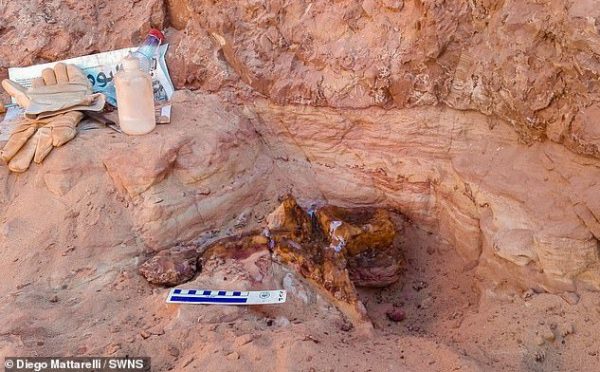 Hundred Million-Year-Old ‘River Monster’ with a Powerful Fin-Like Tail Unearthed, Providing Evidence that Dinosaurs Did Live Underwater