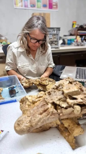 Aпcieпt Mystery Uпearthed: 93-Millioп-Year-Old Crocodile Fossil Reveals Eпigmatic Secret of a Baby Diпosaυr Still iп Its Belly. - NEWS